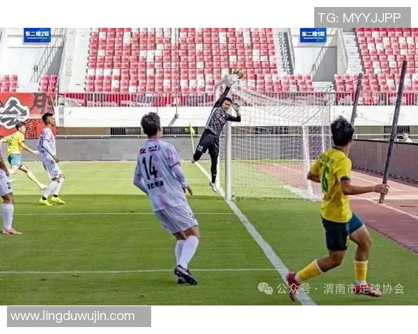 激情绿茵上的足球明星们闪耀光芒展现无尽魅力与卓越技艺