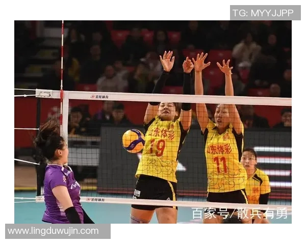 广州排球队技术对比深度解析与发展趋势探讨 广州排球队技术对比深度解析与发展趋势探讨