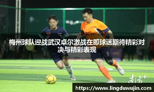 威廉希尔williamhill官方网站